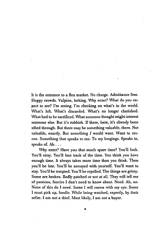 The Volcano Lover. Susan Sontag