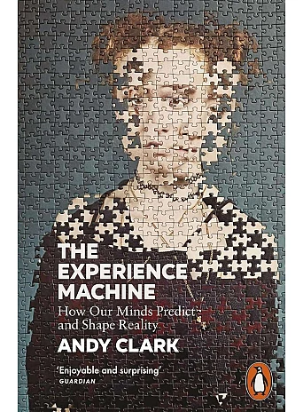 The Experience Machine. Andy Clark The Experience Machine. Andy Clark