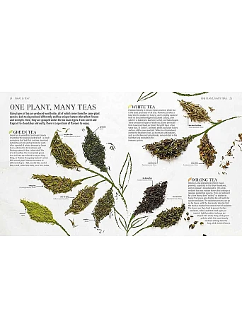 The Tea Book