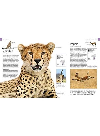 Wildlife of the World 