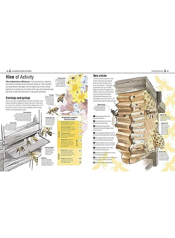The Bee Book