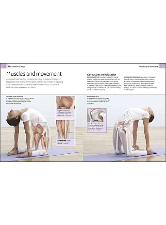 Yoga Your Home Practice Companion