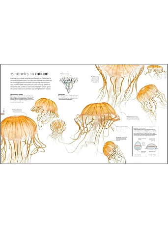 The Science of Animals