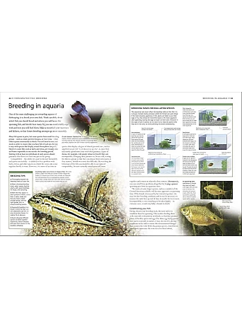 Encyclopedia of Aquarium and Pond Fish