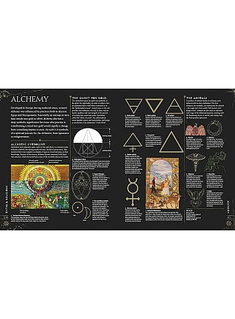 Signs & Symbols