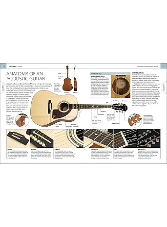 Beginner's Step-by-Step Guitar