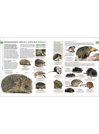 The Natural History Book