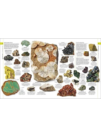 The Natural History Book