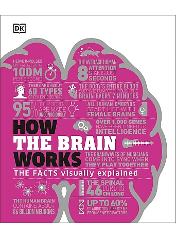 How the Brain Works