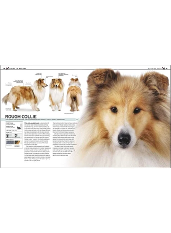 The Complete Dog Breed Book : Choose the Perfect Dog for You
