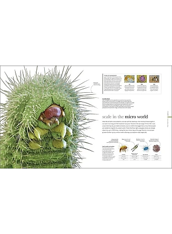 Micro Life : Miracles of the Miniature World Revealed 