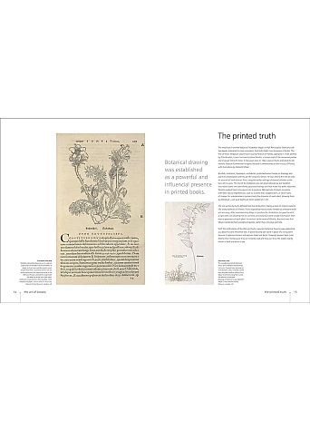 Botany for the Artist