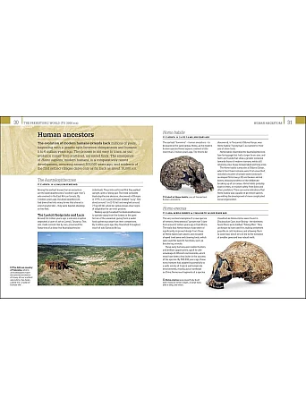 World History : From the Ancient World to the Information Age