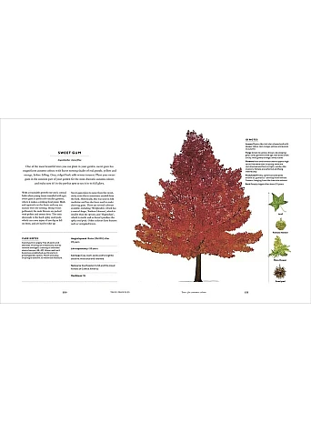 RHS The Tree in My Garden : Choose One Tree, Plant It - and Change the World 