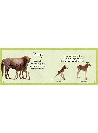See How They Grow Pets