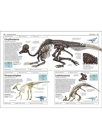 Dinosaurs and Other Prehistoric Life