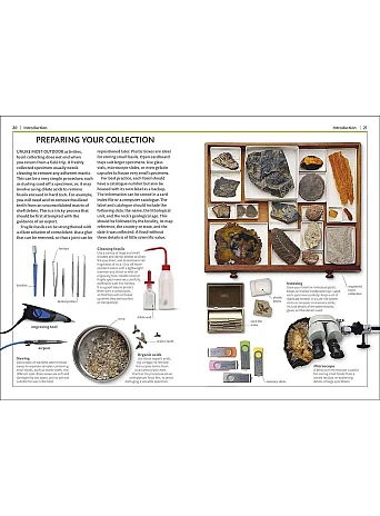 Fossils