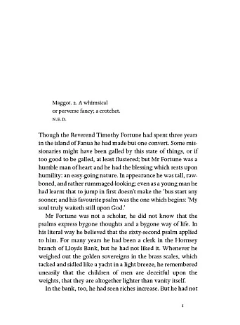 Mr Fortune's Maggot. Sylvia Townsend Warner