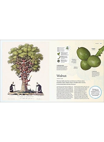 The Tree Book : The Stories, Science, and History of Trees 
