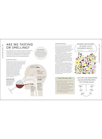 Wine A Tasting Course : From Grape to Glass