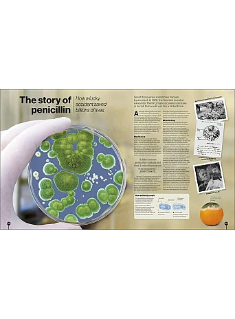 Timelines of Science