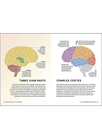 Simply The Brain