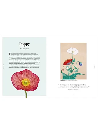 The Secret Language of Flowers 