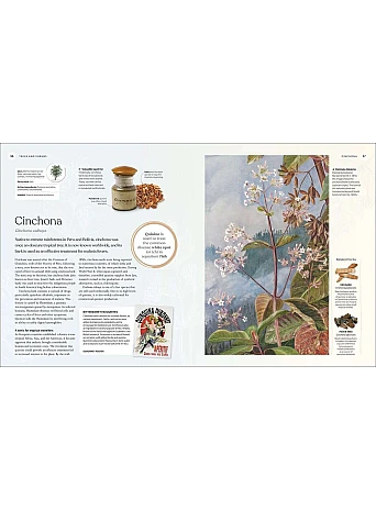 The Herb Book. The Stories, Science, and History of Herbs