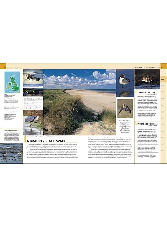 Where to Go Wild in the British Isles
