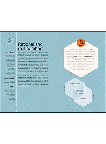 Maths 100 Ideas in 100 Words