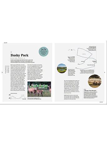 Run. Races and Trails Around the World