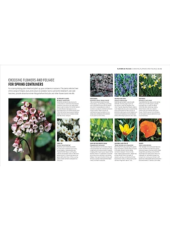 RHS How to Garden When You're New to Gardening