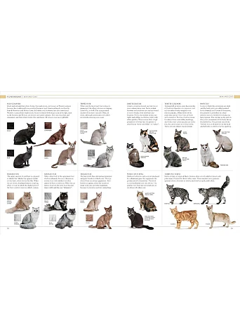 The Cat Encyclopedia