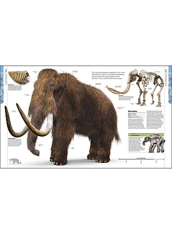 Dinosaurs and Prehistoric Life