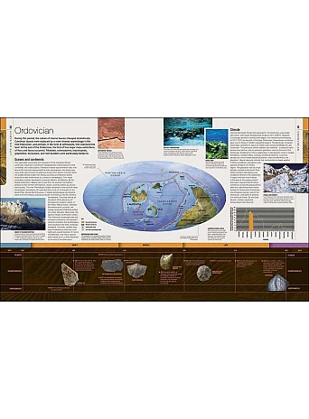 Dinosaurs and Prehistoric Life