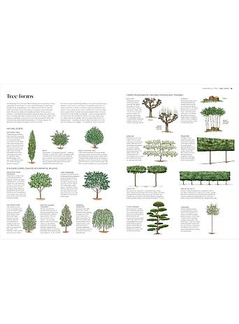RHS Pruning and Training