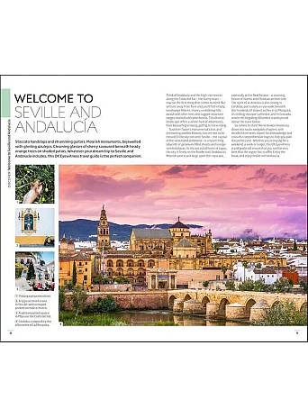 Seville and Andalucia (Travel Guide)