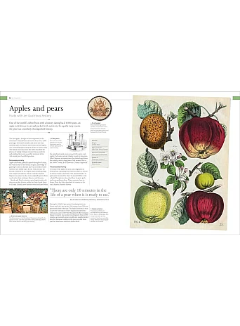 The Food Book