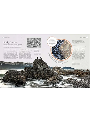 The Ocean Book