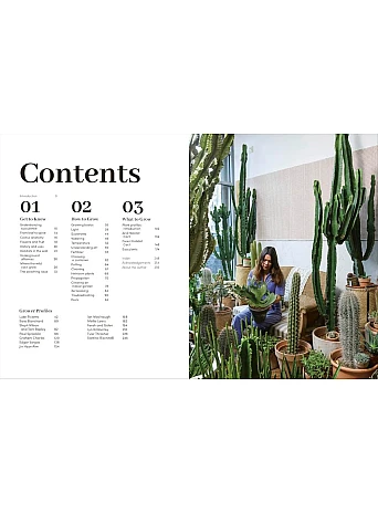 Cacti and Succulents