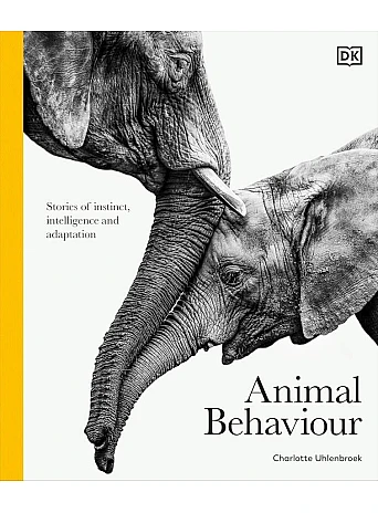 Animal Behaviour