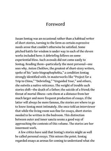 Susan Sontag. Stories (травмована обкладинка)