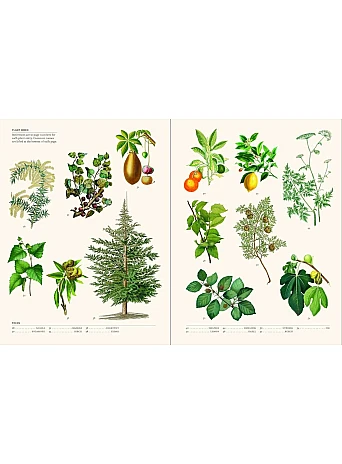 The Secret Language of Plants