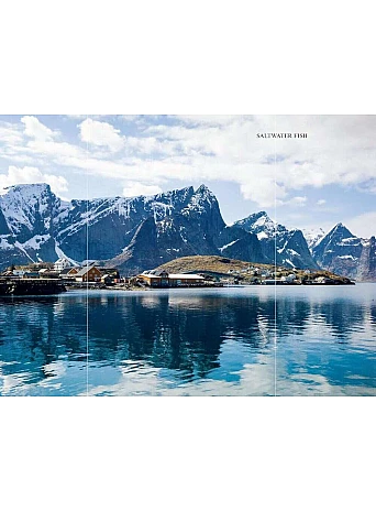 The Nordic Cookbook