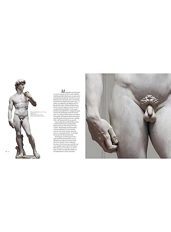 The Art of Arousal