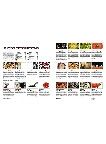 Photography of Modernist Cuisine
