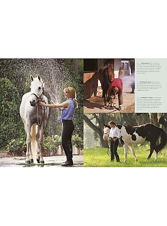 Complete Horse Care Manual