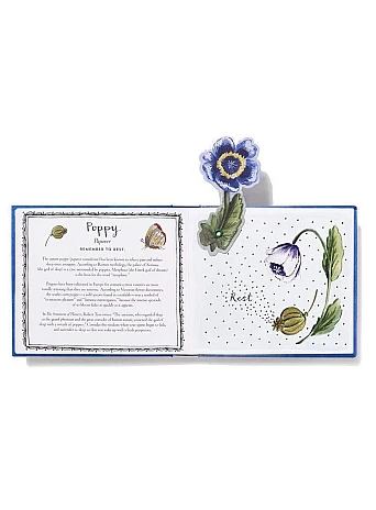 Thinking of You (A Bouquet in a Book) . Turn this Book into a Bouquet