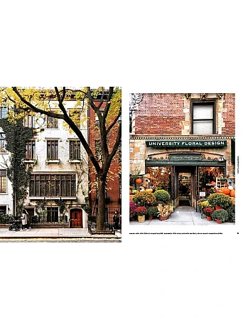 Walk With Me New York. The Beauty of New York Through the Lens