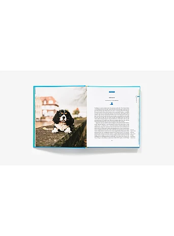 Fifty Places to Travel with Your Dog Before You Die